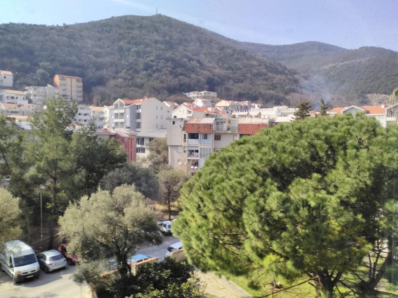 Yeshill Daire Budva